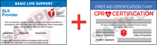 Sample American Heart Association AHA BLS CPR Card Certificaiton and First Aid Certification Card from CPR Certification Newark