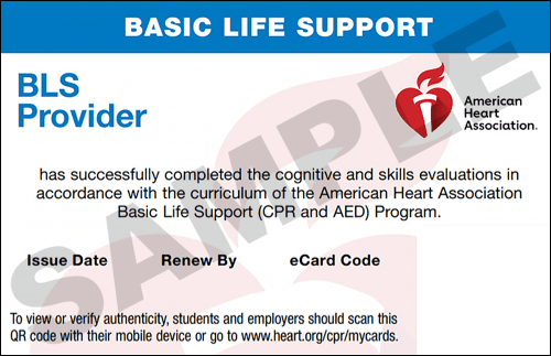 Sample American Heart Association AHA BLS CPR Card Certification from CPR Certification Newark