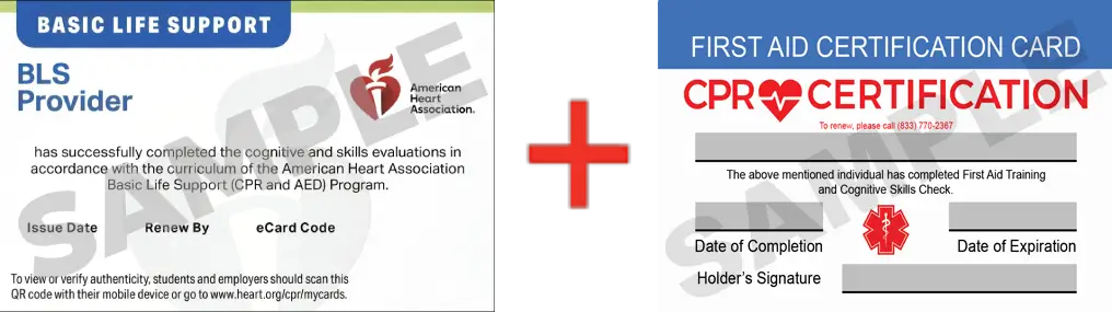 Sample American Heart Association AHA BLS CPR Card Certification and First Aid Certification Card from CPR Certification Newark