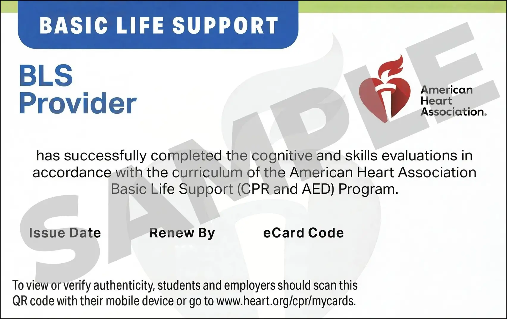 Sample American Heart Association AHA BLS CPR Card Certification from CPR Certification Newark